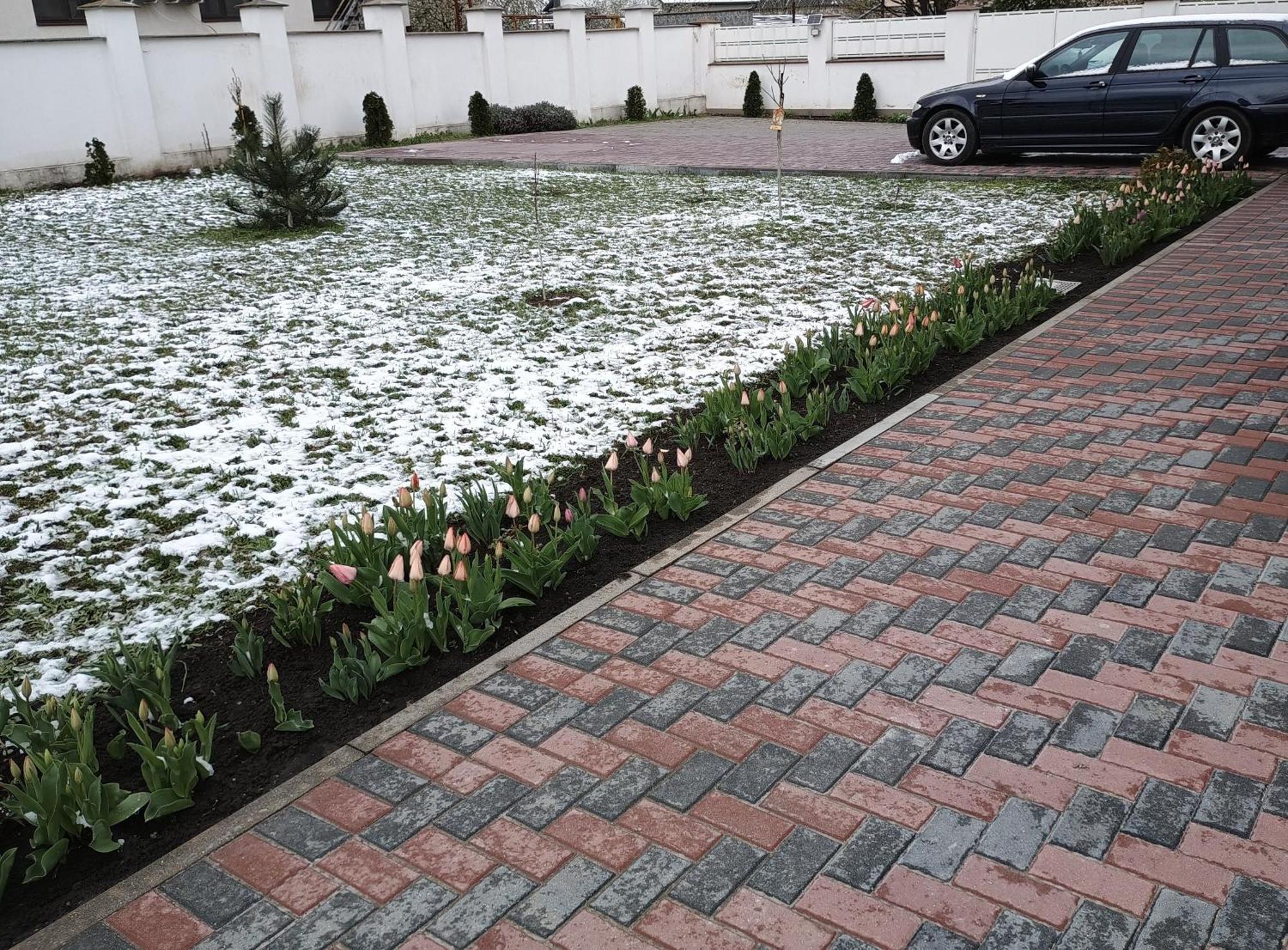 Vila Family Cricova Ngoại thất bức ảnh